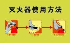 ɳԺָ